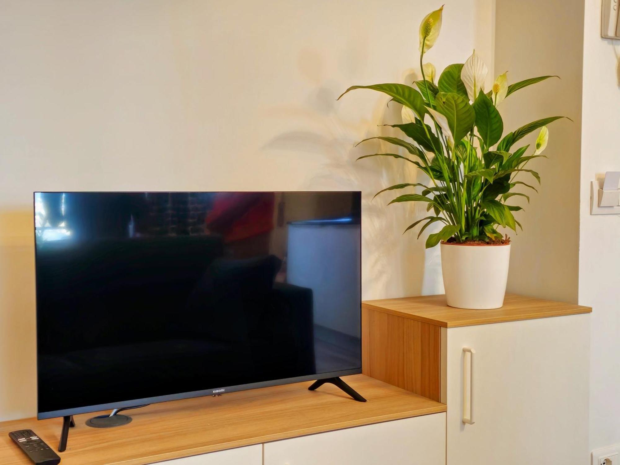 Nuovissimo Appartament - La Marmotta Apartamento